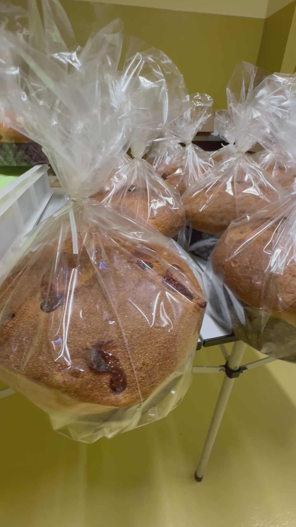 Panettone artigianale